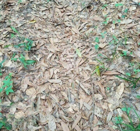 با این تست ها بینایی خود را بسنجید!