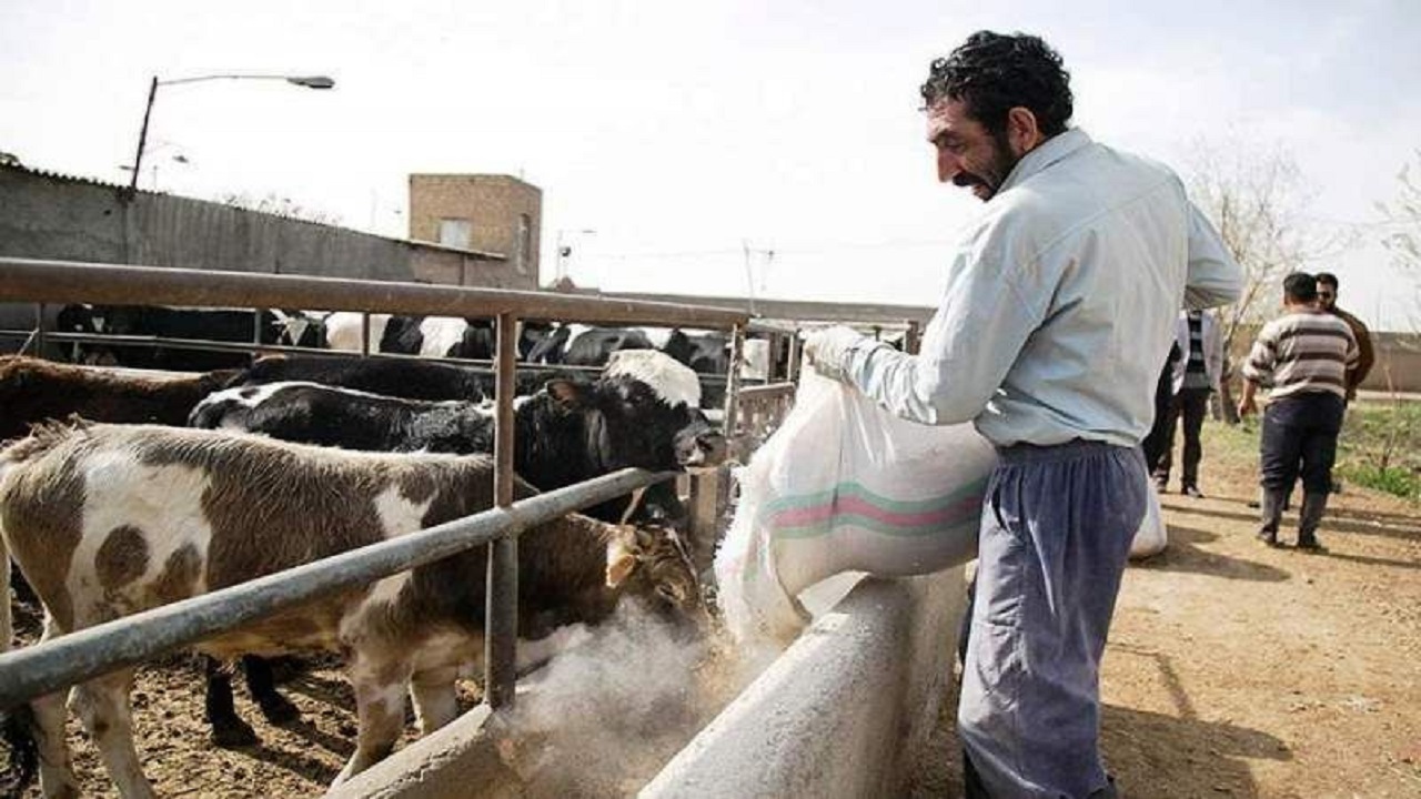 دامداران گناباد در محاصره مشکلات، از کمبود تا گرانی نهاده‌ها