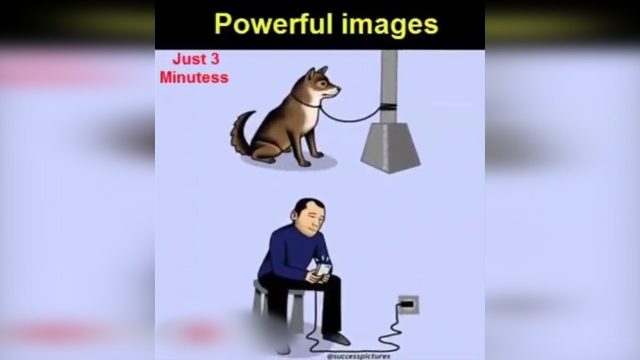 تصاویری که هر کدام از آنها یک دنیا حرف با خود دارند + فیلم