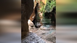 مکانی عالی برای تفریحی یک روزه + فیلم