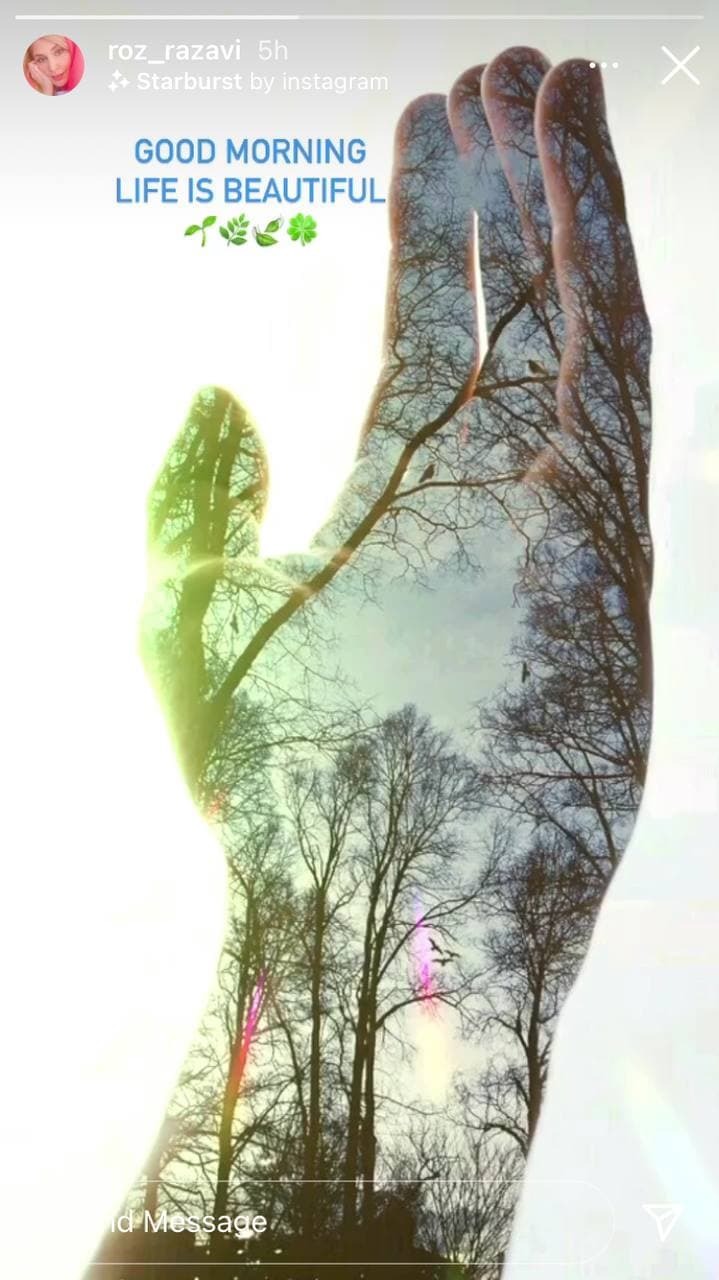 رز رضوی