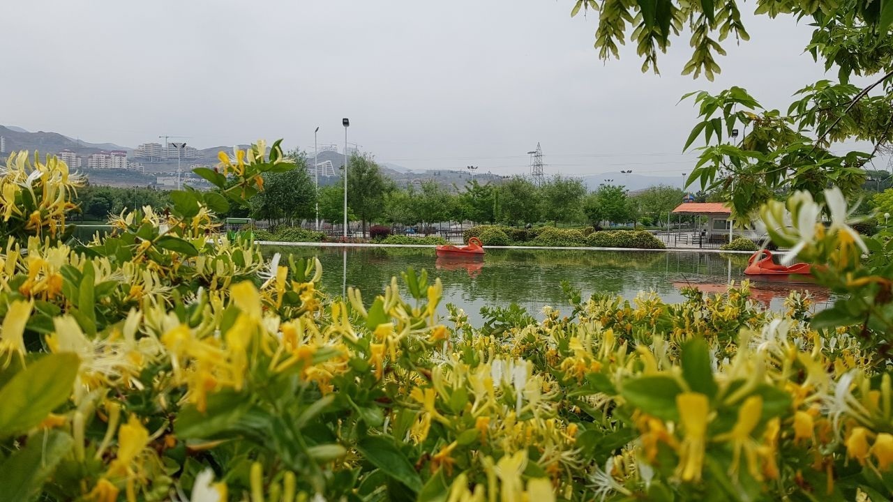 حال و هوای بهاری بوستان کوهسنگی مشهد