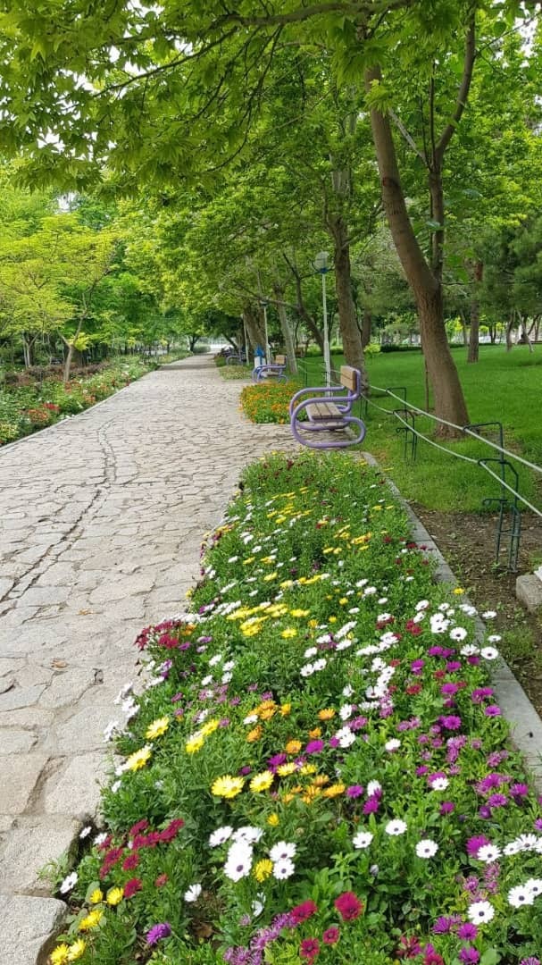 حال و هوای بهاری بوستان کوهسنگی مشهد