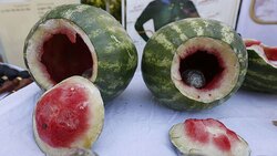قاچاق مواد مخدر با استفاده از پاراگلایدر + فیلم