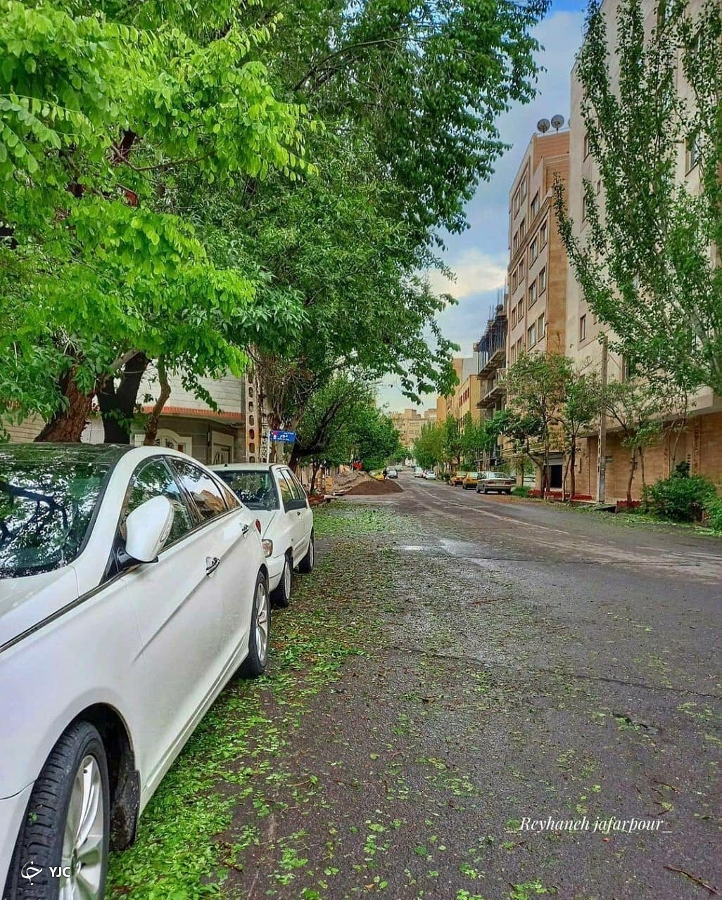خیابان های تبریز پس از بارش امروز + تصاویر