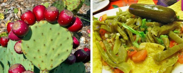 چیز&zwnj;های عجیبی که نمی&zwnj;دانستید قابل خوردن هستند + تصاویر
