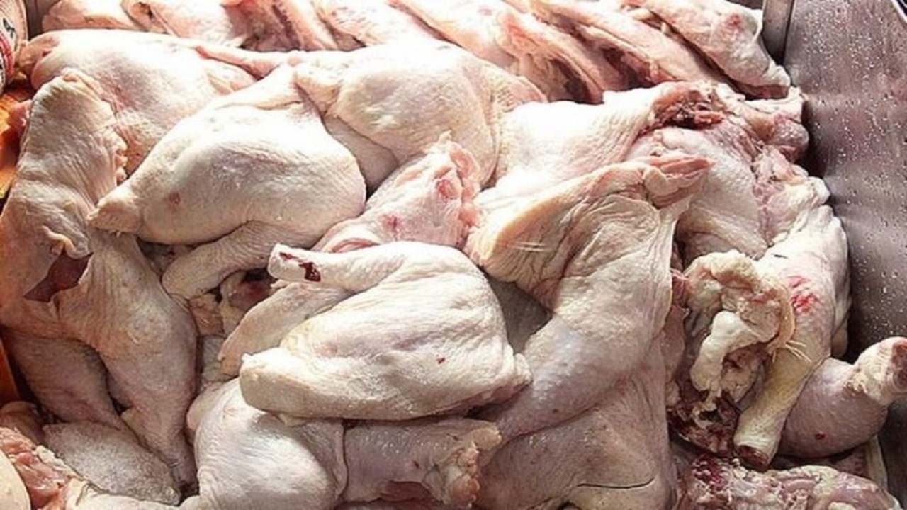 توقیف بیش از ۲ هزار قطعه مرغ غیر بهداشتی در بهار