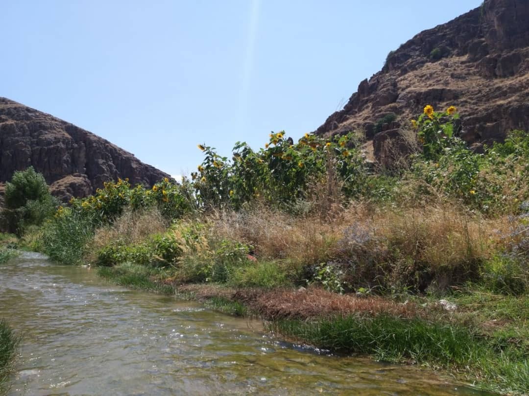 غار شگفت انگیز دره آل، سکونتگاه انسان های نخستین