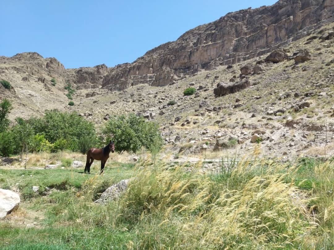 غار شگفت انگیز دره آل، سکونتگاه انسان های نخستین
