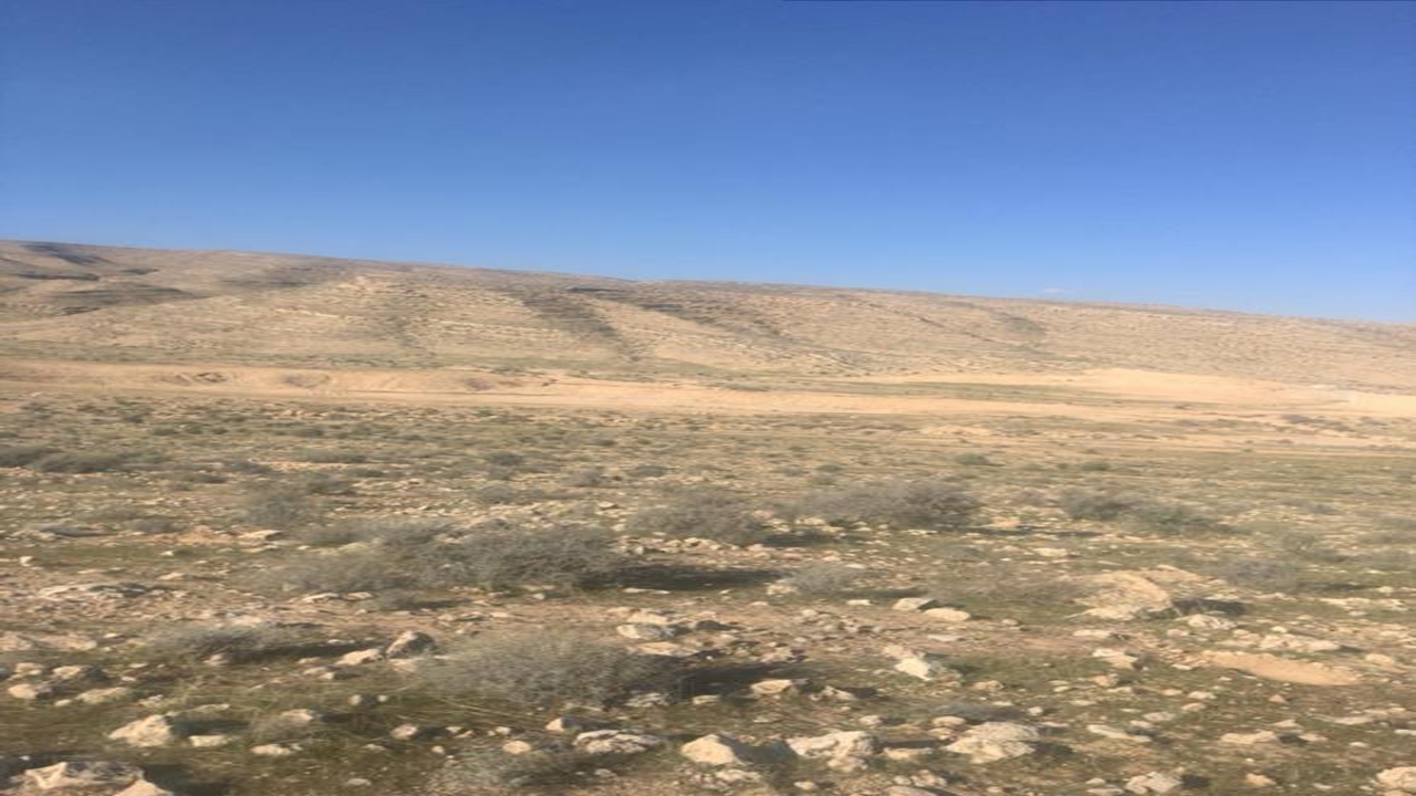 رفع و تصرف مستحدثات غیر قانونی در اراضی ملی کوار