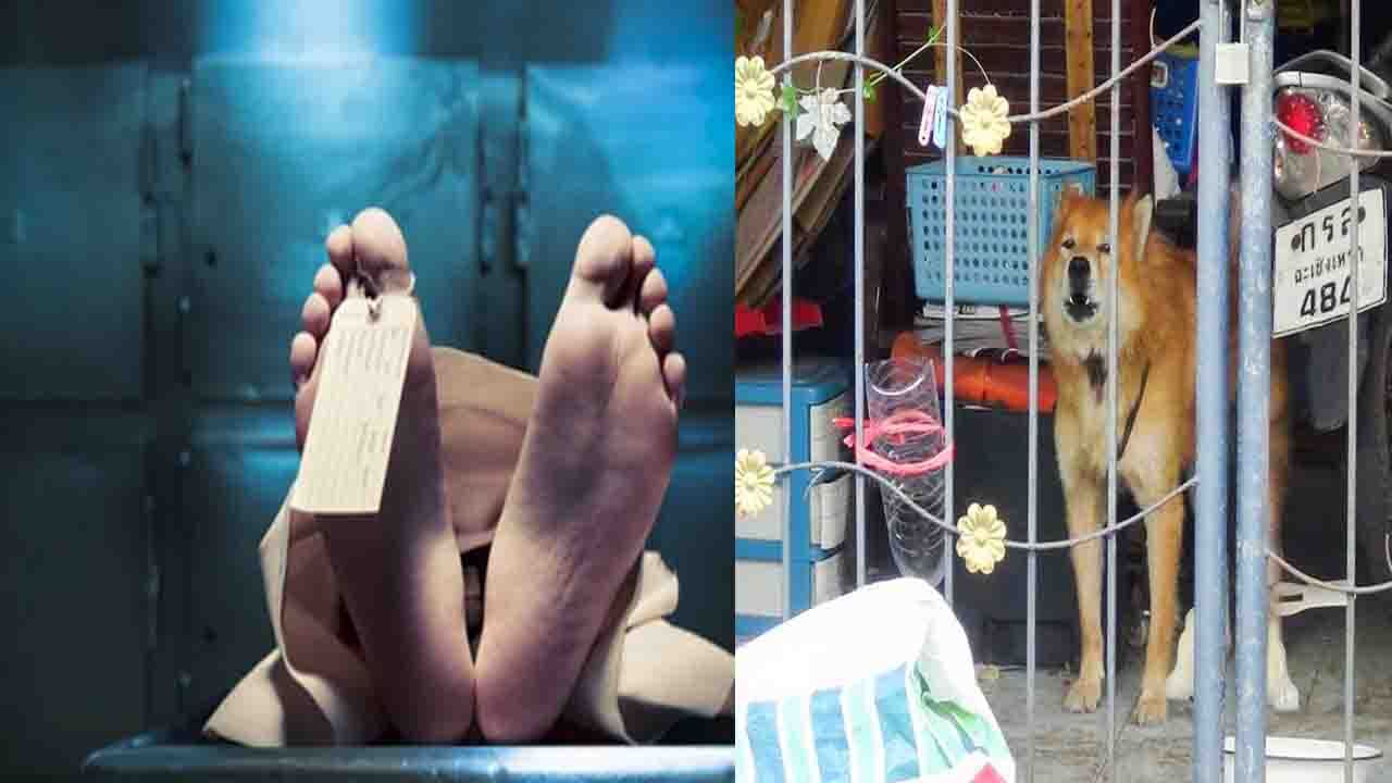 رفتار عجیب یک سگ پس از فوت صاحبش بر اثر کرونا + تصاویر