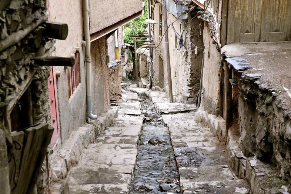 تیتر