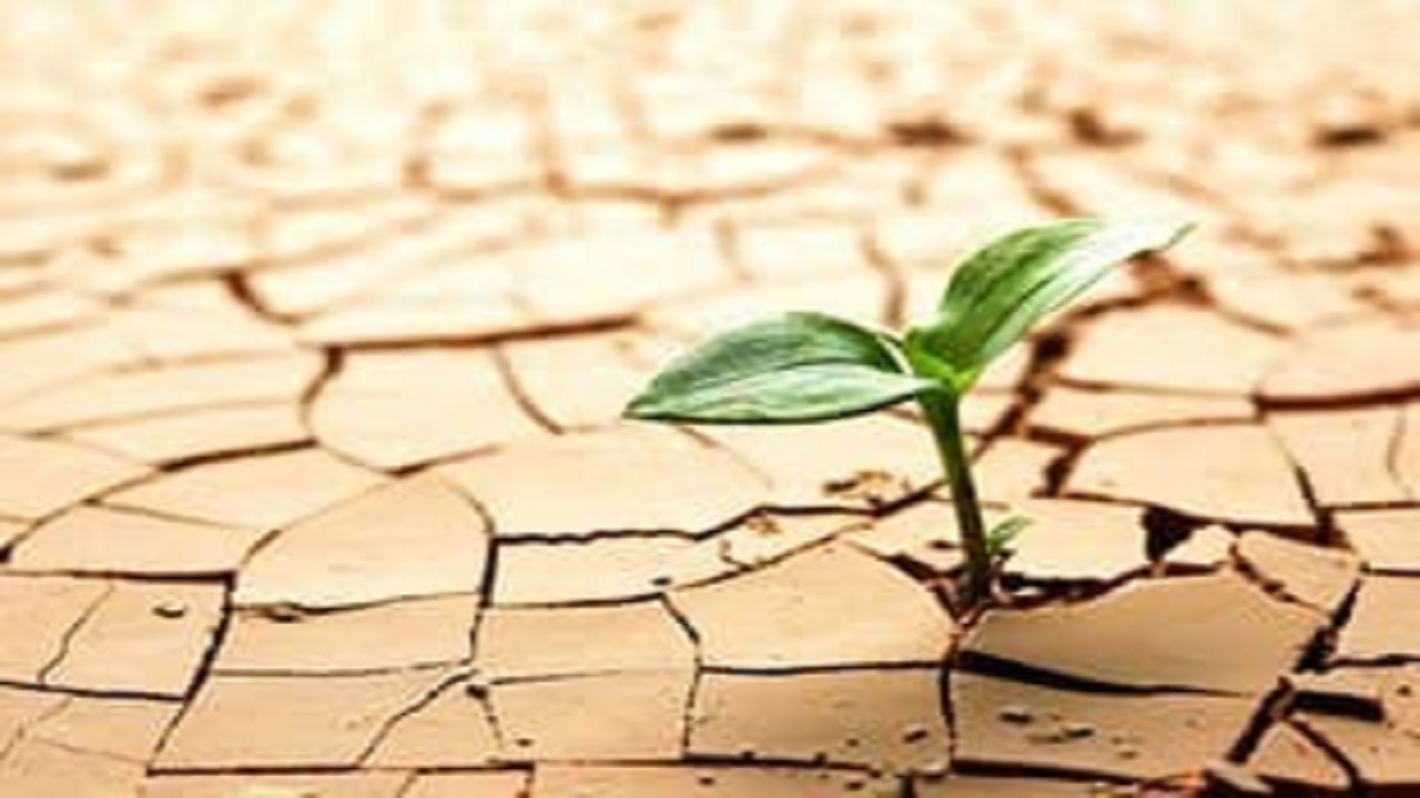 کمک ۳۸ میلیارد ریالی خیرین آوجی به طرح‌های آبرسانی روستایی