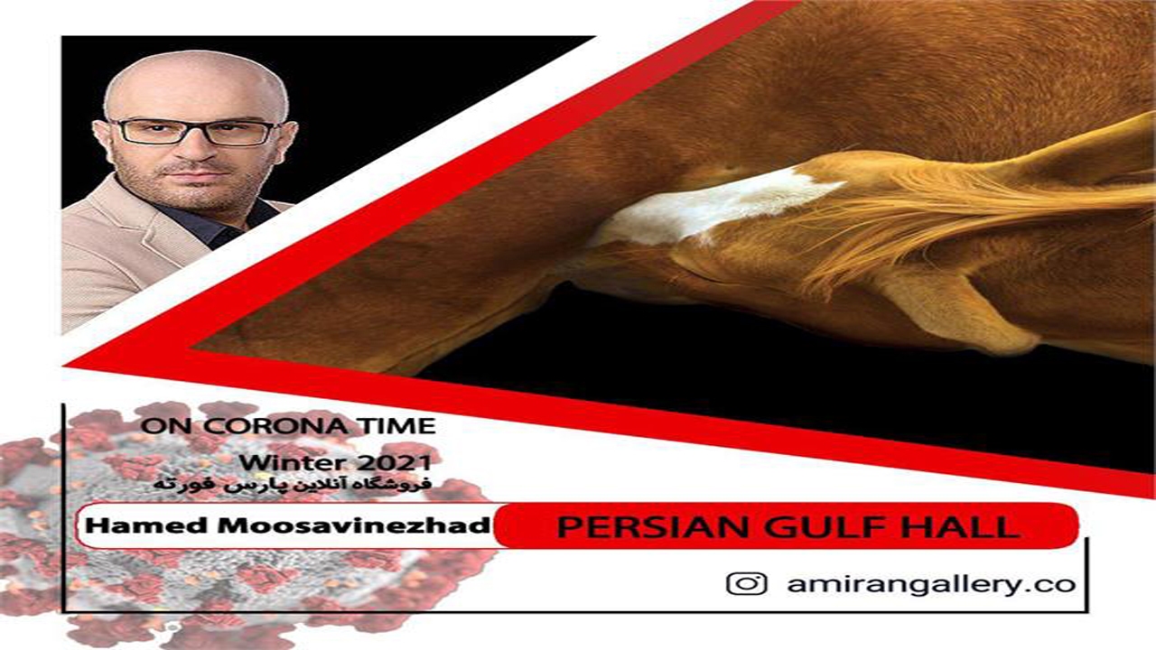 آثار هنرمند بجنوردی در نمایشگاه بین المللی عکس آنلاین ایتالیا