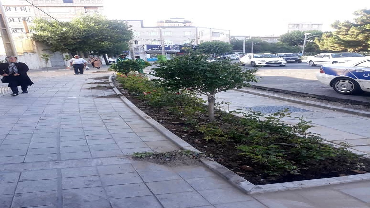 کاشت یک هزار و ۴۰۰ اصله درختچه زینتی در اهواز