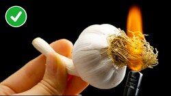 آموزش ساخت حوضچه‌ای زیبا به شکل قلب + فیلم