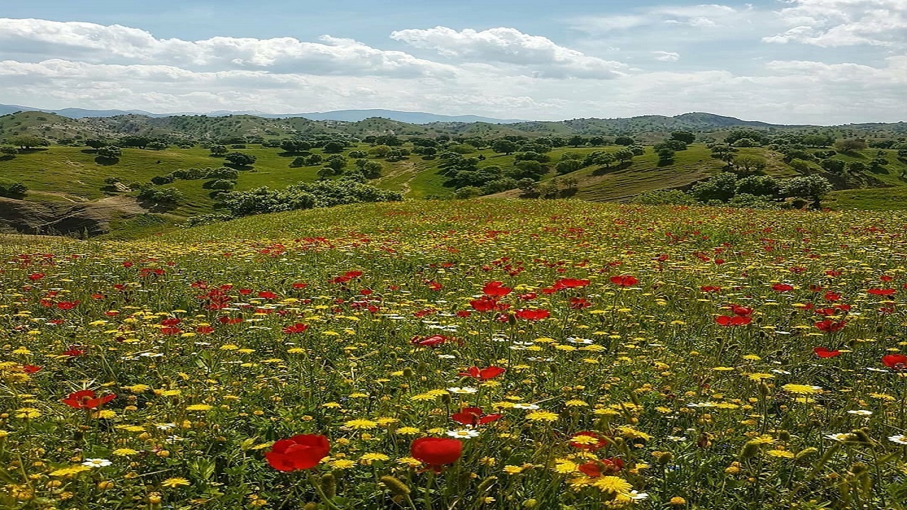 طبیعت تماشایی روستای شیخ صله در قاب دوربین شهروندخبرنگار + تصاویر