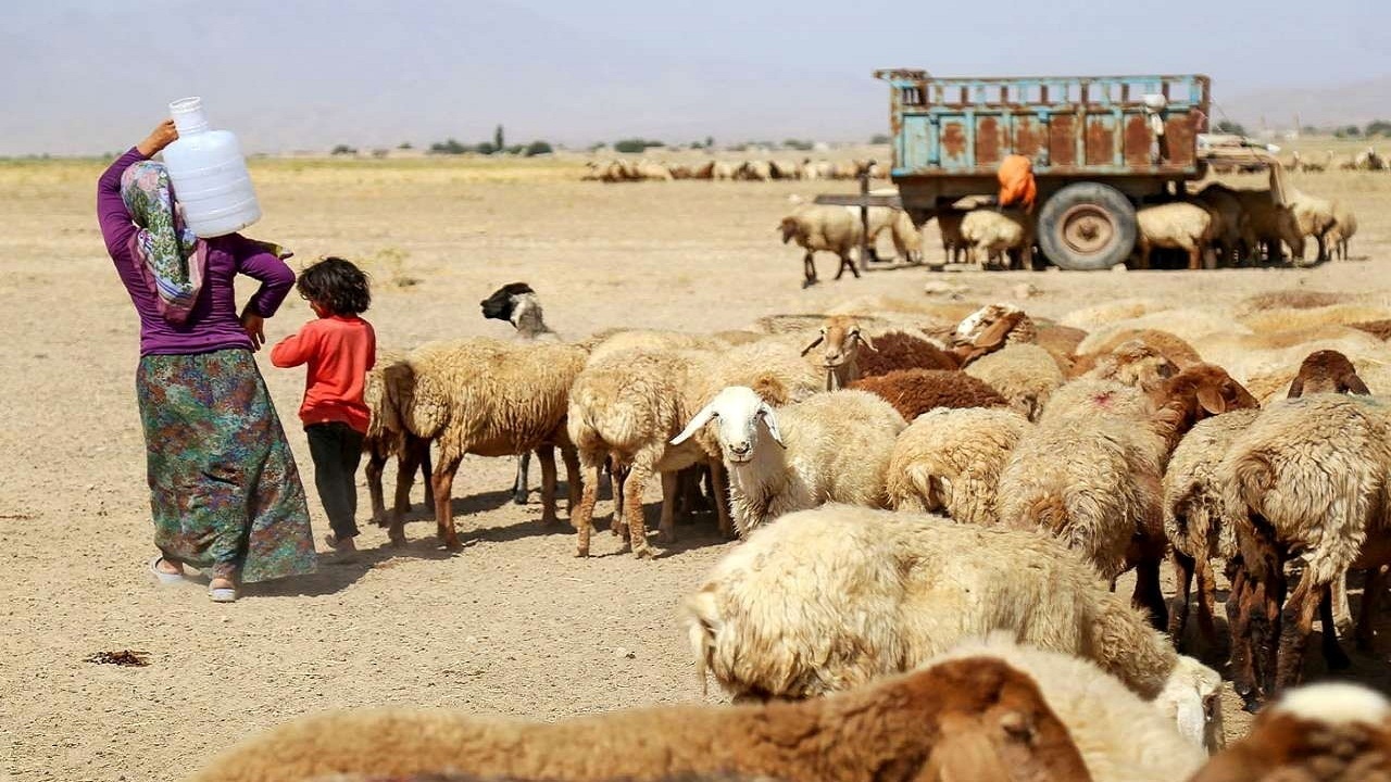 سایه کم آبی بر سر زندگی عشایر