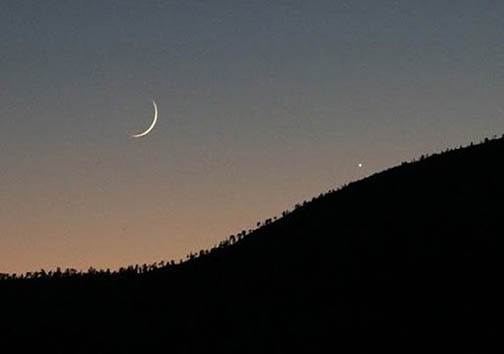 آیا برنج هم از سفره&zwnj;ها پَر می&zwnj;کشد؟/واکسن ایرانی وارد بازار شد/ پرسه دلال&zwnj;ها در میان مزارع گندم