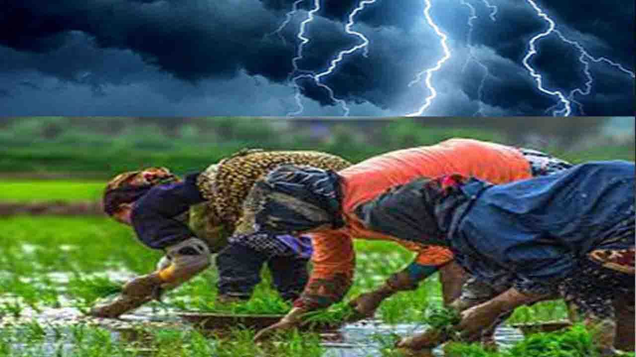 ناگفته‌های قربانی حادثه مرگبار از بلایی که بر سر او و ۴ زن دیگر نازل شد