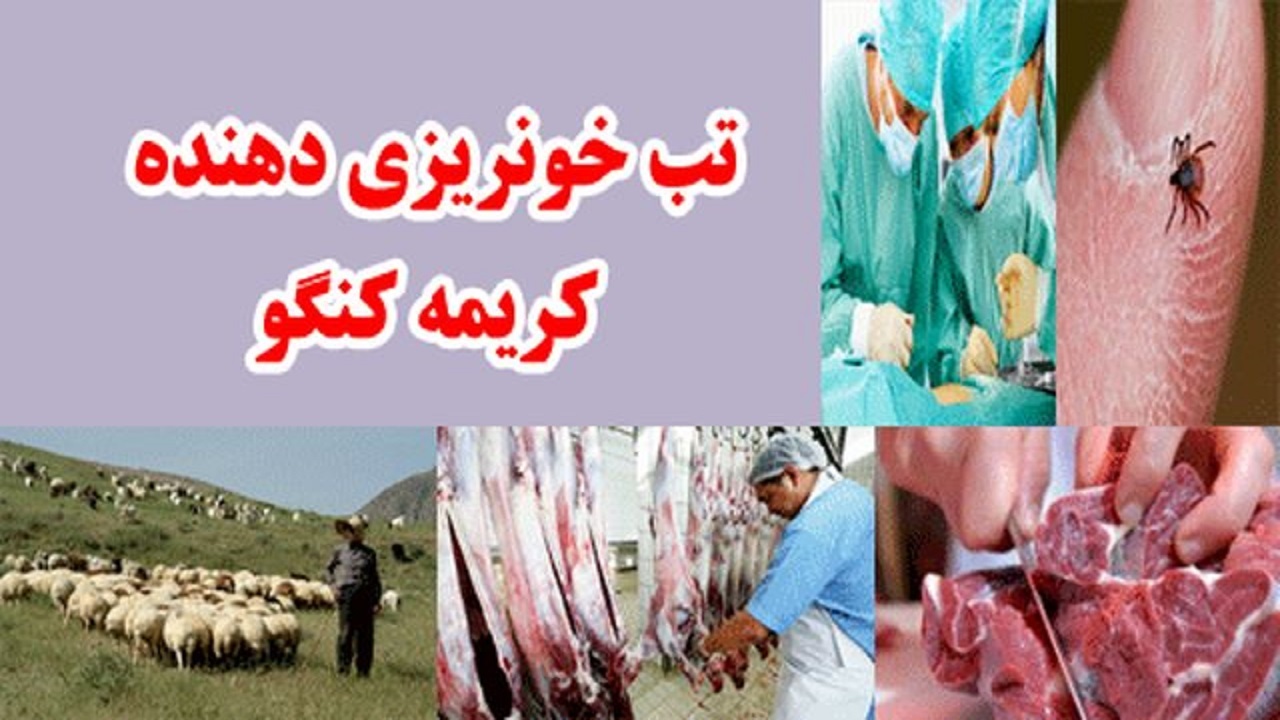 هشدار دامپزشکی گلستان در رابطه با بیماری تب کریمه کنگو