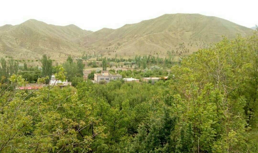 طبیعت اردیبهشتی شهر سرسبز کدکن در تربت حیدریه