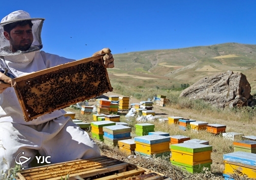 چرخ کرونا اینبار در مسیر مصرف عسل می&zwnj;چرخدکرونا اینبار دست تولیدکنندگان عسل را گرفت کرونا کام زنبورداران را شیرین کرد کرونا به تولید و فروش عسل در مهاباد رونق داد