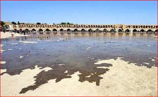 جان جنگل&zwnj;های بلوط در امان نیست/ رونق دوباره سبلان پارچه بعد از ۱۴ سال/ تجارت با موی کودکان