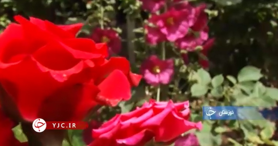 خانه‌ای متفاوت در دل شلوغی شهر+فیلم