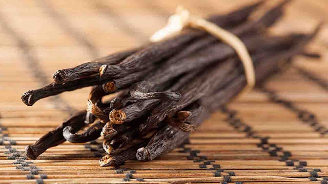 گیاه خوش عطر و معروفی که سرخپوستان سازندگان اولیه آن بوده‌اند