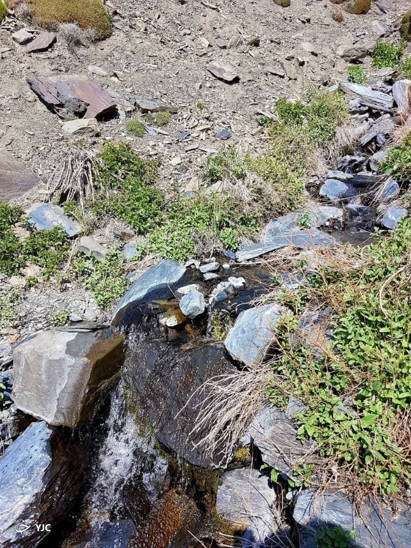 طبیعت دل&zwnj;انگیز چشمه سبز گلمکان