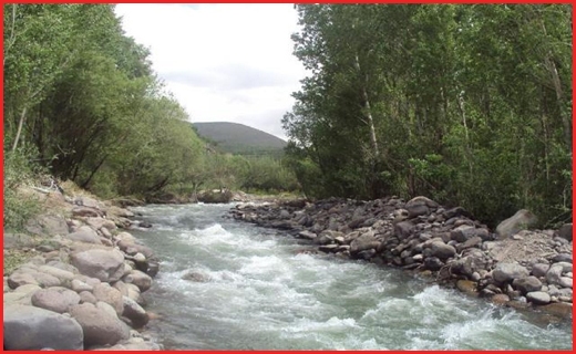 واکسن ایران کوبا بدون عارضه/چند نکته کلیدی برای مبارزه با استرس کرونا و امتحانات/کنار رودخانه&zwnj; ها اتراق نکنید