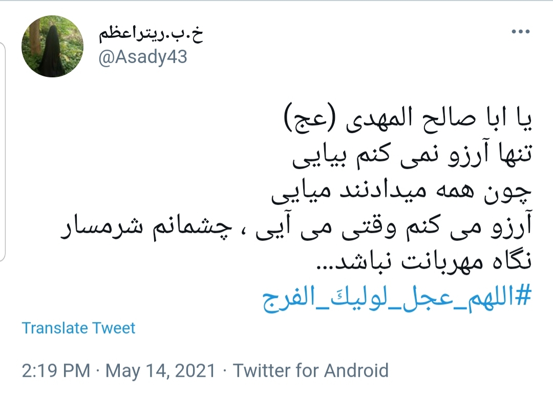امام زمان (عج)