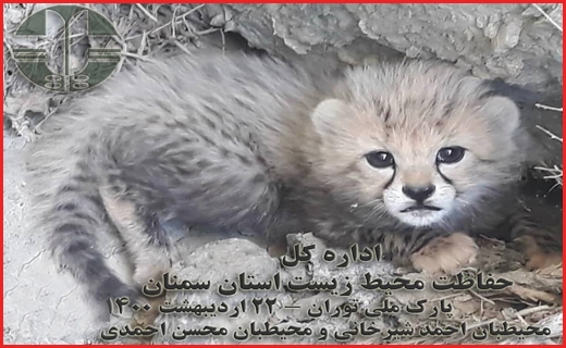واکسن ایران کوبا بدون عارضه/چند نکته کلیدی برای مبارزه با استرس کرونا و امتحانات/کنار رودخانه&zwnj; ها اتراق نکنید/یک تیم تروریستی در جنوب سیستان و بلوچستان متلاشی شد