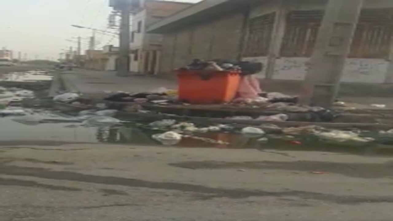 گلایه از وضع اسفناک بهداشت معابر در کوی طالقانی + فیلم