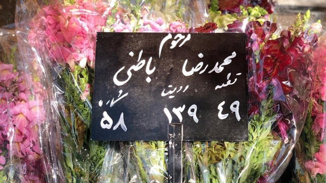 پیکر محمدرضا باطنی به خاک سپرده شد
