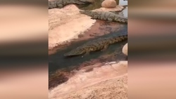 کلیسایی عجیب بنام لالی بلا در اتیوپی + فیلم