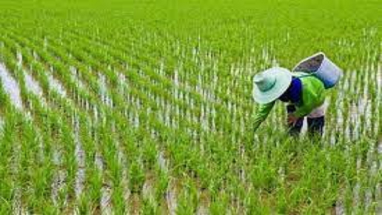 کلاسی از جنس صرفه‌جویی با دبیری یک کشاورز گرگانی +فیلم