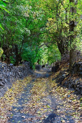 لذت بهاری را در دره خوشرود جاغرق از دست ندهید