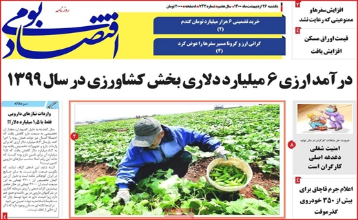 اقتصاد بومی