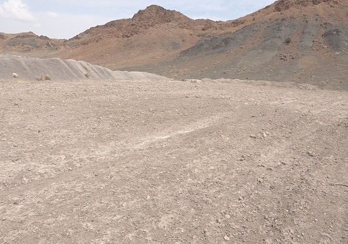 خشکسالی، آواری بر سر مزارع دیم / وقتی کم بارانی، جان مزارع دیم را می&zwnj;گیرد