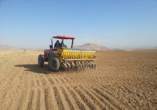 خشکسالی، آواری بر سر مزارع دیم / وقتی کم بارانی، جان مزارع دیم را می&zwnj;گیرد