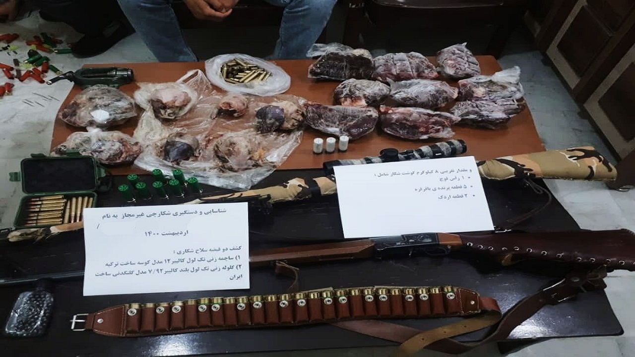 خودنمایی در فضای سایبری با شکار غیرمجاز