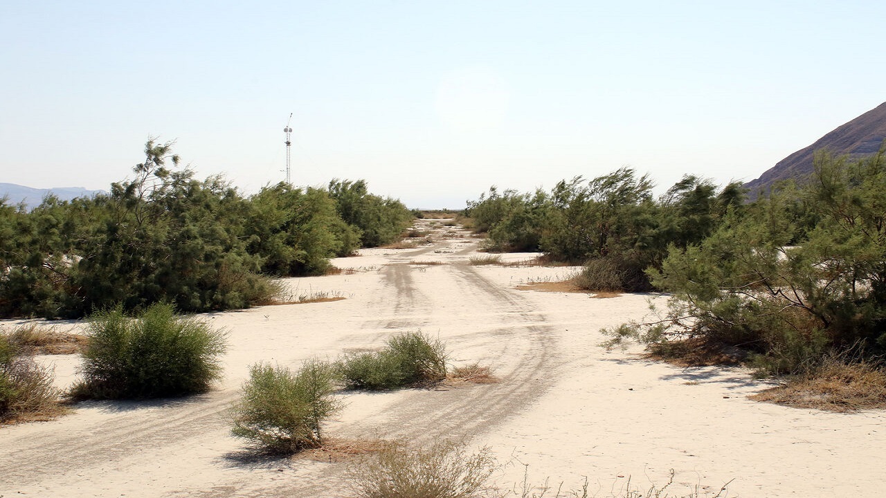 خروج ۹۰ درصد از اراضی غبارخیز آذربایجان‌غربی از حالت بحران