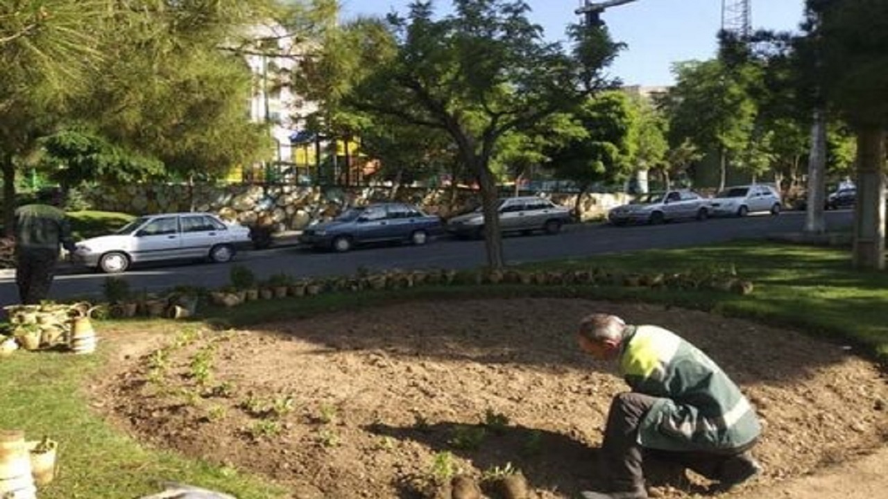تابستان کرج گل می‌کند