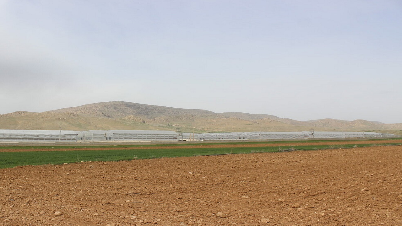آغاز ساخت گلخانه ۵۰ هکتاری در آبیک