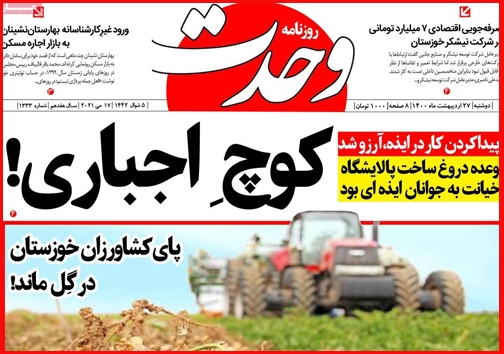 کمبود نداریم!/ سرگردانی زوج های جوان در خان ضامن معتبر/ مسابقه گرانی در روزهای پایانی دولت