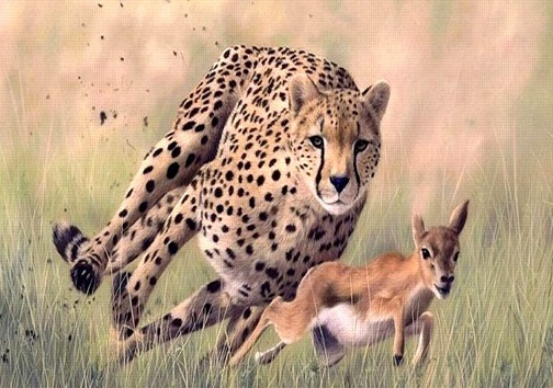 غزال ایرانی قربانی تخریب زیستگاه / جمعیت ۲۰ هزار رأسی به زیر ۵۰۰ رأس رسید!