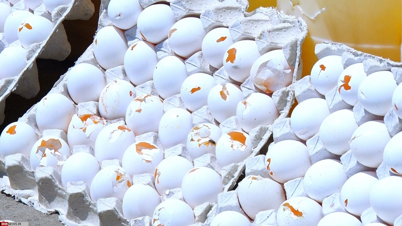 کشف ۴ تن تخم مرغ غیربهداشتی در دهگلان