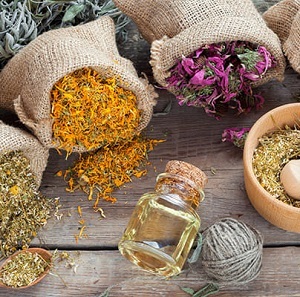 گیاهان دارویی جذاب برای کشاورزان خراسان رضوی پیشتاز در کشت گیاهان دارویی